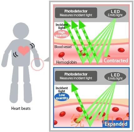 爱普生心率测量技术搭档自家的晶振轻松监测数据